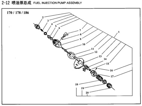 Fuel Injection Pump Assembly