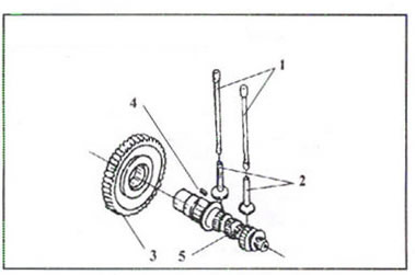 Camshaft Assembly